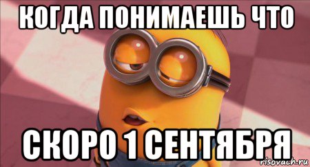 когда понимаешь что скоро 1 сентября