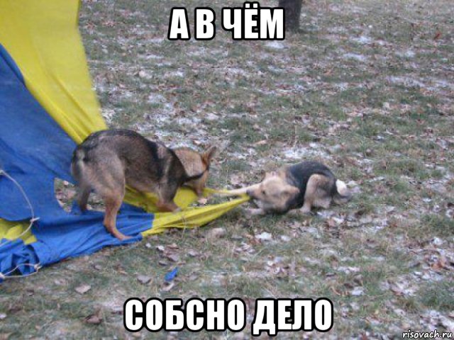 а в чём собсно дело