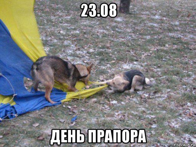23.08 день прапора