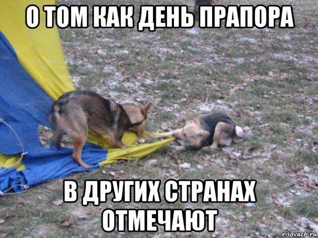 о том как день прапора в других странах отмечают