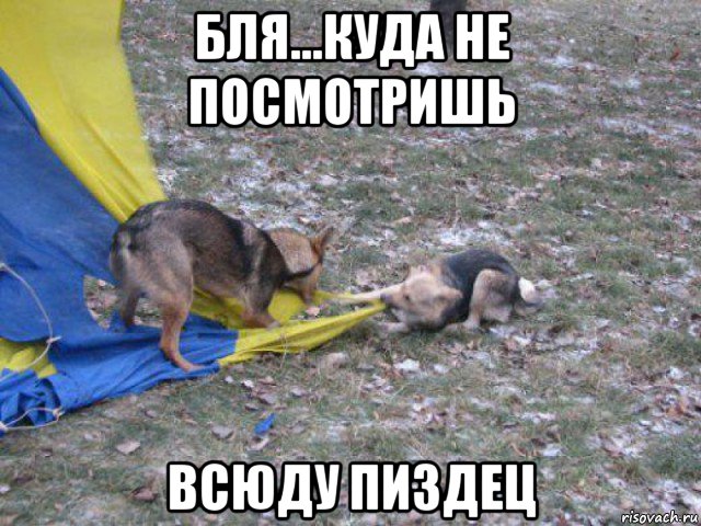 бля...куда не посмотришь всюду пиздец