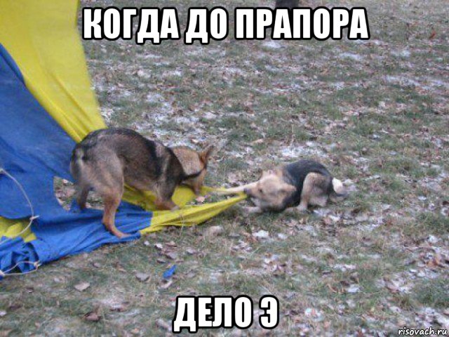 когда до прапора дело э