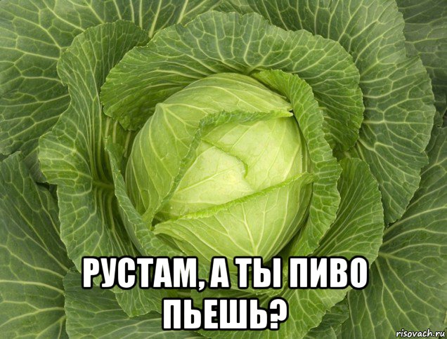  рустам, а ты пиво пьешь?, Мем Капуста