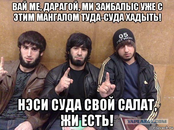вай ме, дарагой, ми заибалыс уже с этим мангалом туда-суда хадыть! нэси суда свой салат, жи есть!