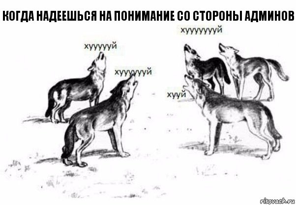 когда надеешься на понимание со стороны админов