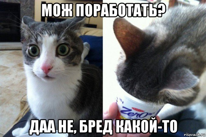 мож поработать? даа не, бред какой-то