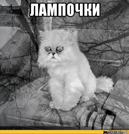 лампочки , Мем Кот депрессия