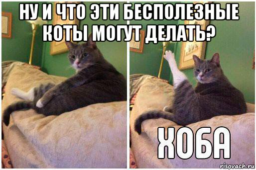 ну и что эти бесполезные коты могут делать? , Комикс Кот Хоба