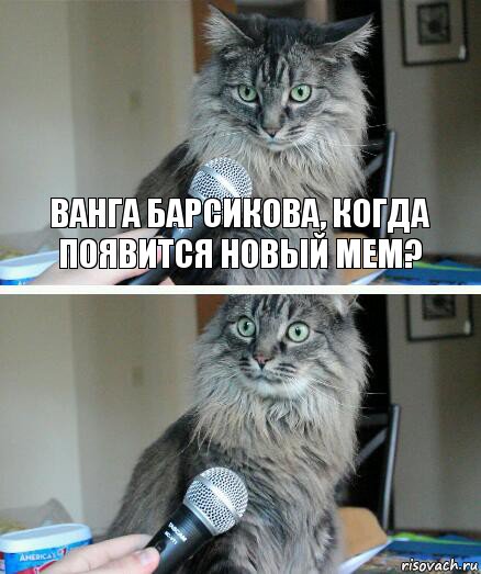 Ванга Барсикова, когда появится новый мем? , Комикс  кот с микрофоном