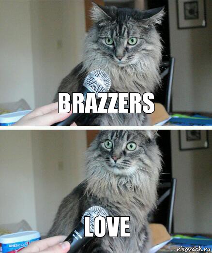 Brazzers love, Комикс  кот с микрофоном