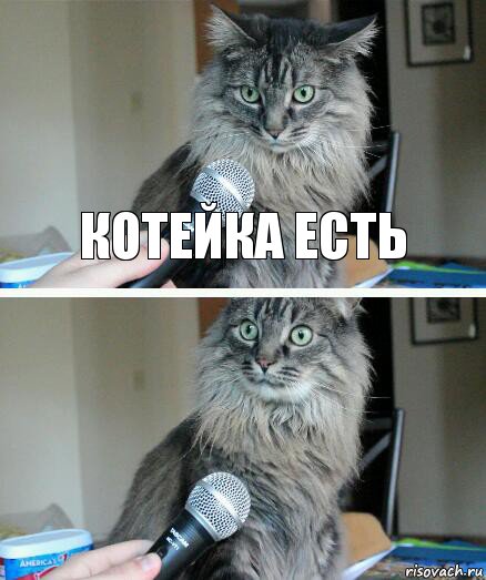 котейка есть , Комикс  кот с микрофоном