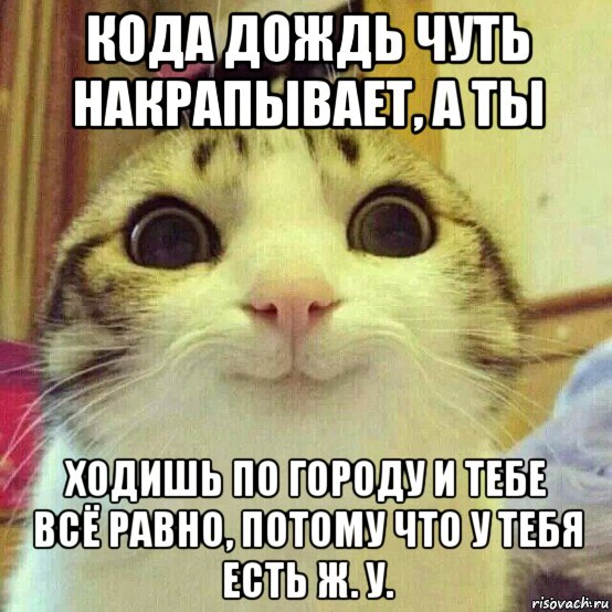 кода дождь чуть накрапывает, а ты ходишь по городу и тебе всё равно, потому что у тебя есть ж. у., Мем       Котяка-улыбака