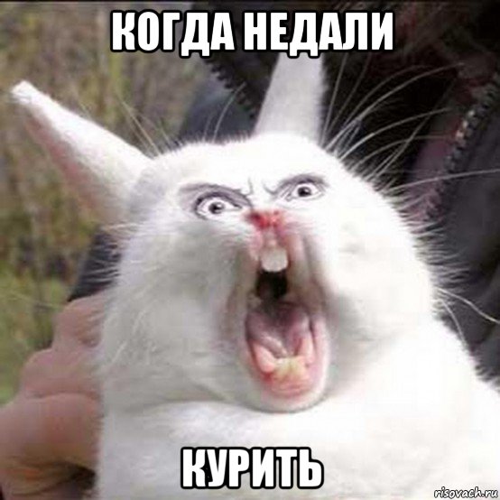когда недали курить