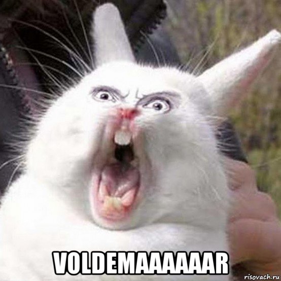  voldemaaaaaar