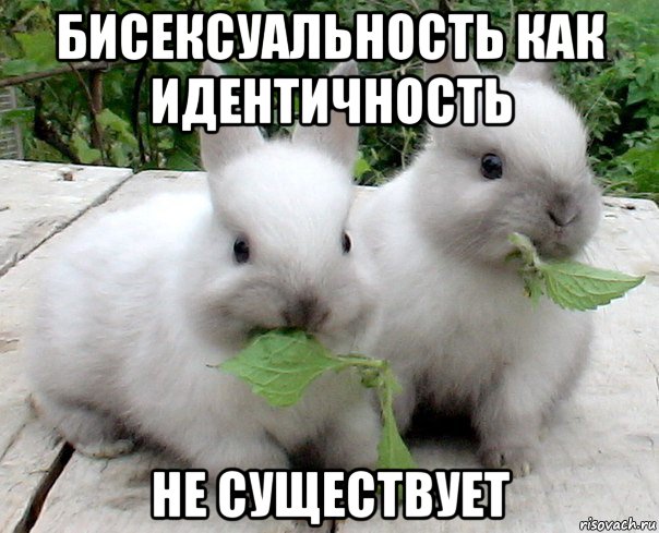 бисексуальность как идентичность не существует