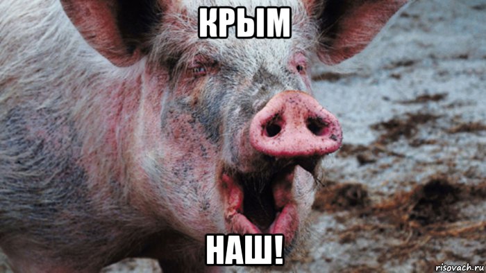 крым наш!