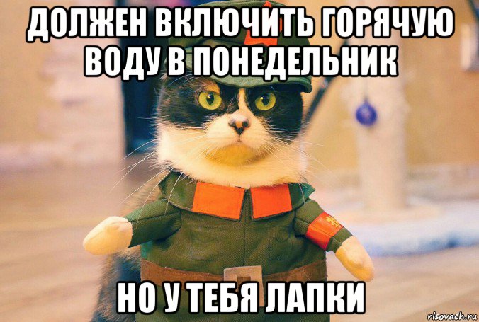 должен включить горячую воду в понедельник но у тебя лапки, Мем Лапки