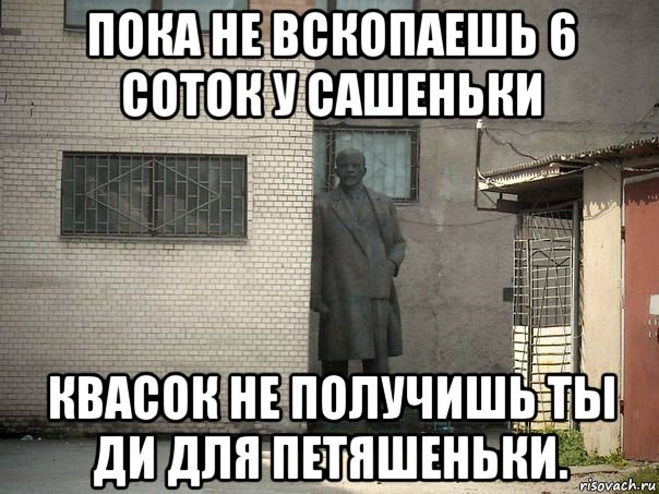 пока не вскопаешь 6 соток у сашеньки квасок не получишь ты ди для петяшеньки., Мем  Ленин за углом (пс, парень)