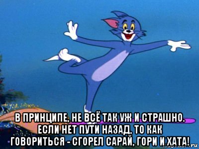  в принципе, не всё так уж и страшно. если нет пути назад, то как говориться - сгорел сарай, гори и хата!, Мем летун