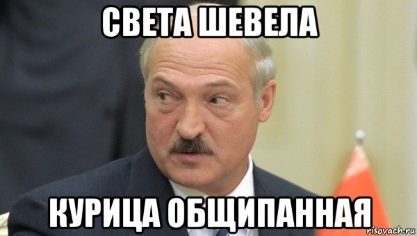 света шевела курица общипанная, Мем Лукашенко