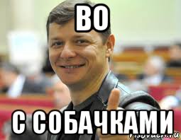 во с собачками
