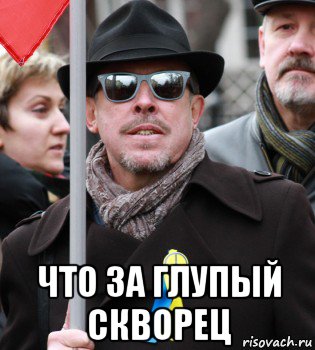  что за глупый скворец