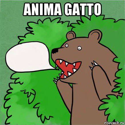 anima gatto 