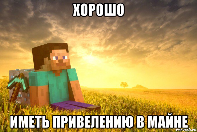 хорошо иметь привелению в майне, Мем minecraft