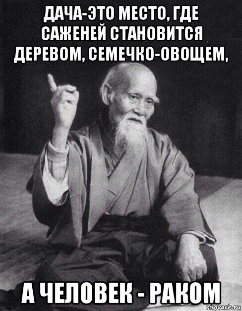 дача-это место, где саженей становится деревом, семечко-овощем, а человек - раком, Мем Монах-мудрец (сэнсей)