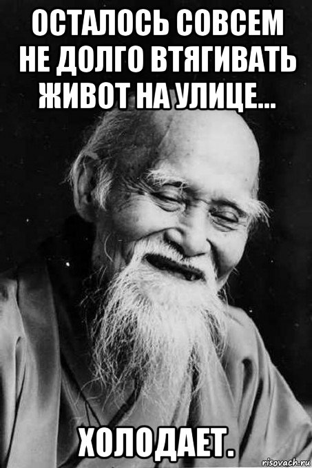 осталось совсем не долго втягивать живот на улице... холодает., Мем мудрец улыбается