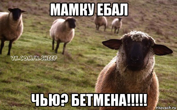 мамку ебал чью? бетмена!!!!!, Мем  Наивная Овца