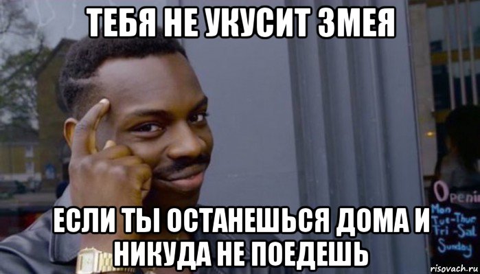 тебя не укусит змея если ты останешься дома и никуда не поедешь, Мем Не делай не будет