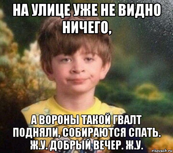 на улице уже не видно ничего, а вороны такой гвалт подняли, собираются спать. ж.у. добрый вечер. ж.у., Мем Недовольный пацан