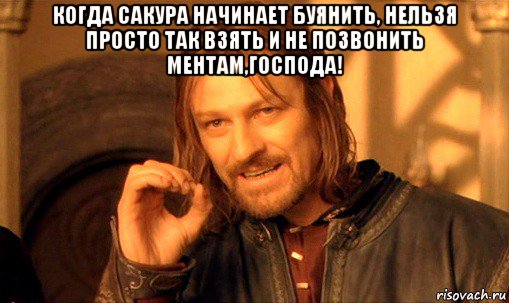 когда сакура начинает буянить, нельзя просто так взять и не позвонить ментам,господа! , Мем Нельзя просто так взять и (Боромир мем)