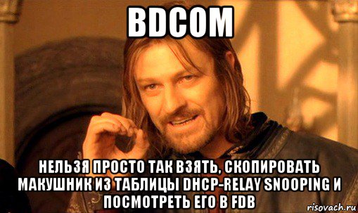 bdcom нельзя просто так взять, скопировать макушник из таблицы dhcp-relay snooping и посмотреть его в fdb, Мем Нельзя просто так взять и (Боромир мем)