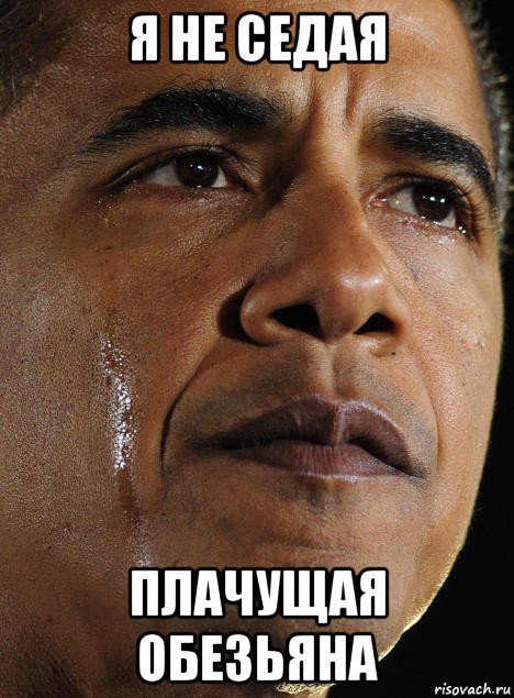 я не седая плачущая обезьяна, Мем Обама