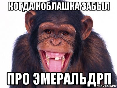 когда коблашка забыл про эмеральдрп