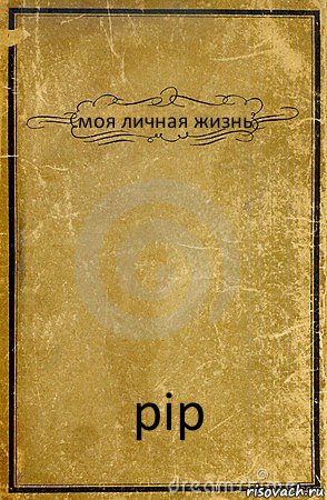 моя личная жизнь pip, Комикс обложка книги