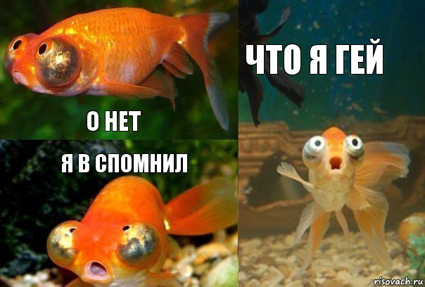 о нет я в спомнил что я ГЕЙ
