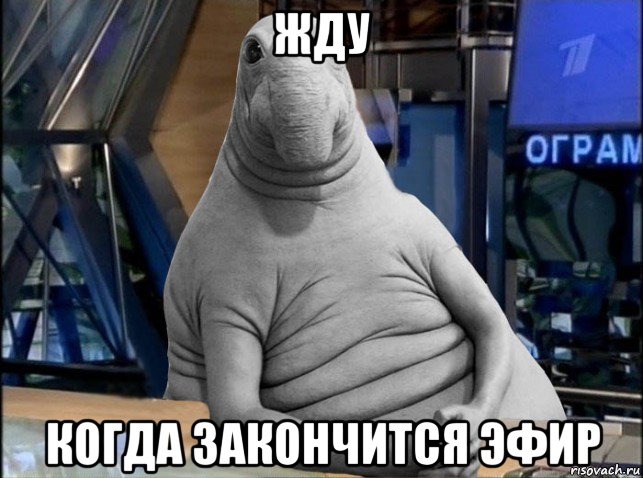 жду когда закончится эфир