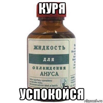 куря успокойся