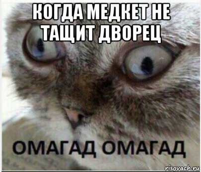 когда медкет не тащит дворец 
