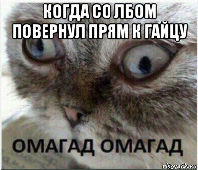 когда со лбом повернул прям к гайцу 