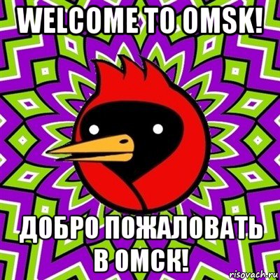 welcome to omsk! добро пожаловать в омск!, Мем Омская птица