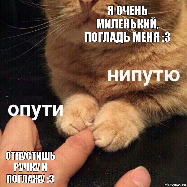 Я очень миленький, погладь меня :3 Отпустишь ручку и поглажу :3, Комикс Опути нипутю