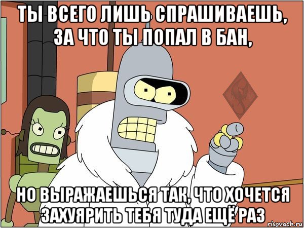 ты всего лишь спрашиваешь, за что ты попал в бан, но выражаешься так, что хочется захуярить тебя туда ещё раз