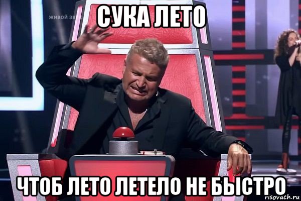 сука лето чтоб лето летело не быстро, Мем   Отчаянный Агутин