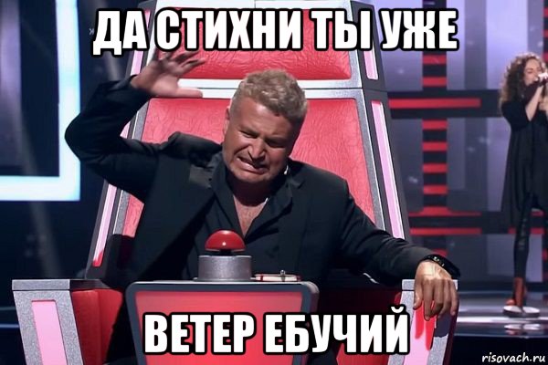 да стихни ты уже ветер ебучий, Мем   Отчаянный Агутин