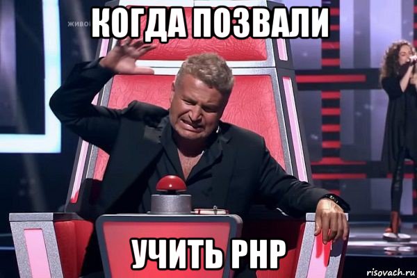 когда позвали учить php, Мем   Отчаянный Агутин