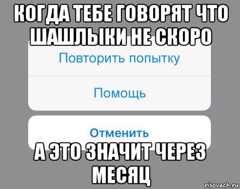 когда тебе говорят что шашлыки не скоро а это значит через месяц, Мем Отменить Помощь Повторить попытку